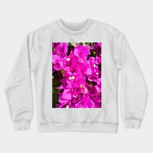 Purple bougainvilleas Crewneck Sweatshirt